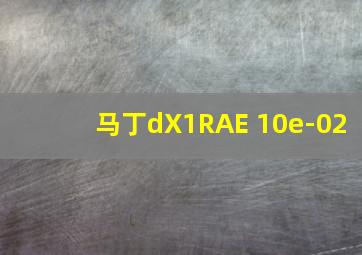 马丁dX1RAE 10e-02